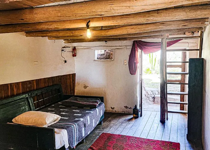 Wolf Totem Lux Backpacker Auberge de jeunesse *
